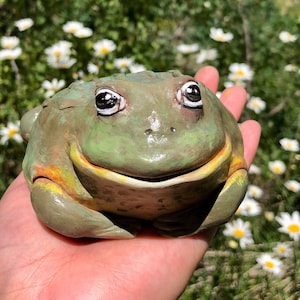 Handmade Fat Chubby Green African Bullfrog Figurine | Custom Cute Polymer Clay Frog Sculpture Statue Collectible