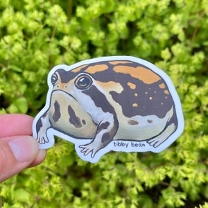 Angry Desert Rain Frog Vinyl Sticker | Grumpy Speckled Brown Beige Pet Amphibian Decal Decoration for Laptop Waterbottles