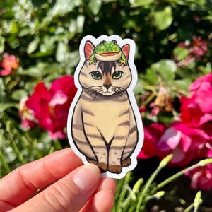 Cute Cartoon Beige and Brown Pet Tabby Cat and Green Pacman Frog Sticker | Small Vinyl Amphibian Animal Lover Decal for Laptop Water Bottles