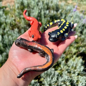 Handmade Polymer Clay Yellow Spotted Black Salamander Amphibian Reptile Figurine | Cute Red Eft Newt Salamander Miniature Collectible