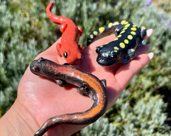 Handmade Polymer Clay Salamander Figurine: Spotted, Eft Newt Miniature