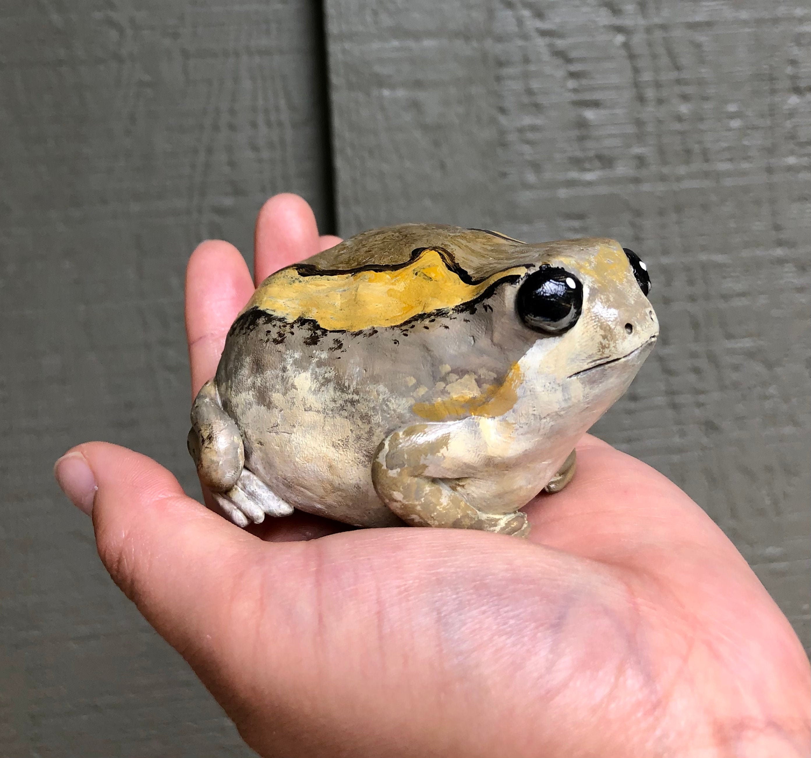 Potato Frog