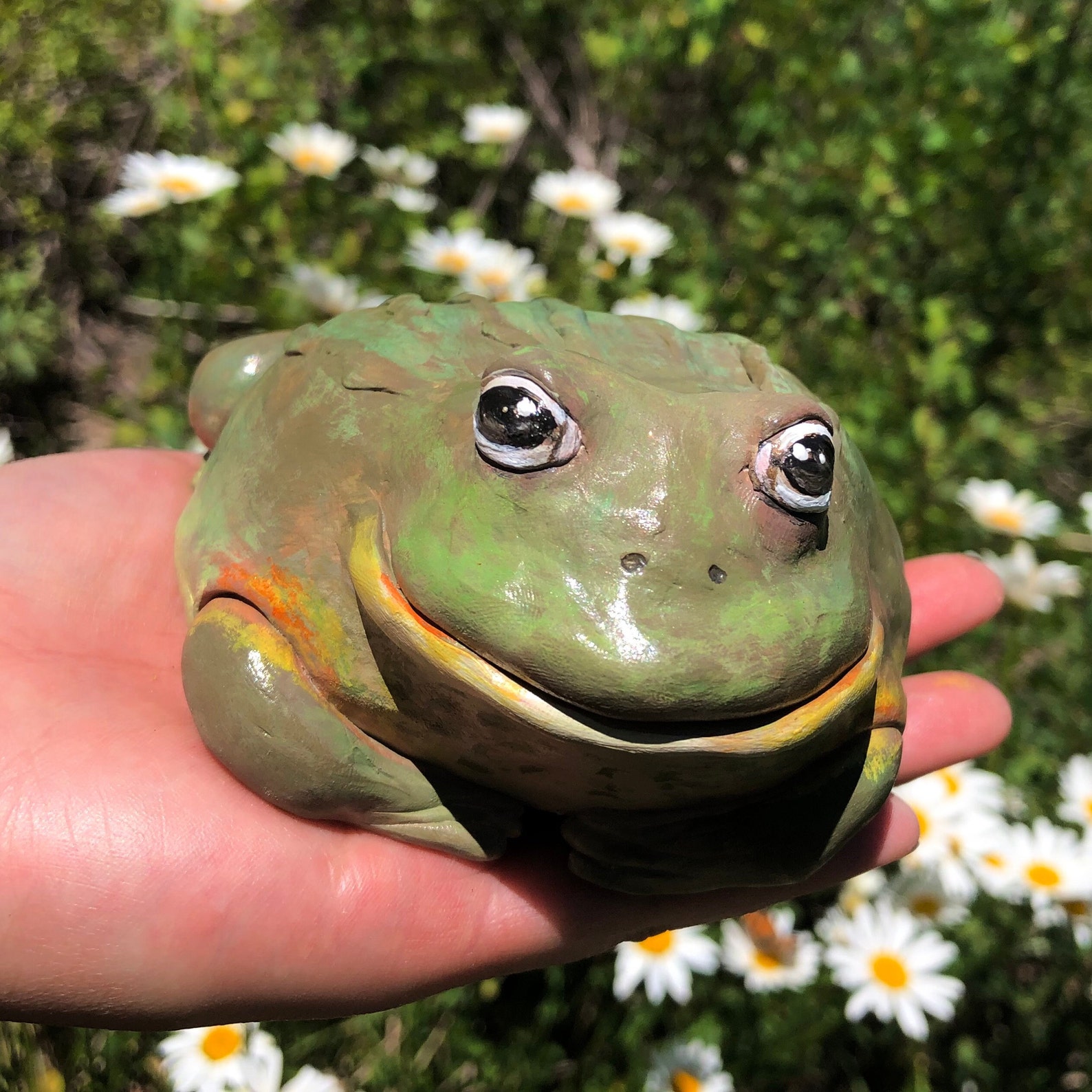 not a real frog