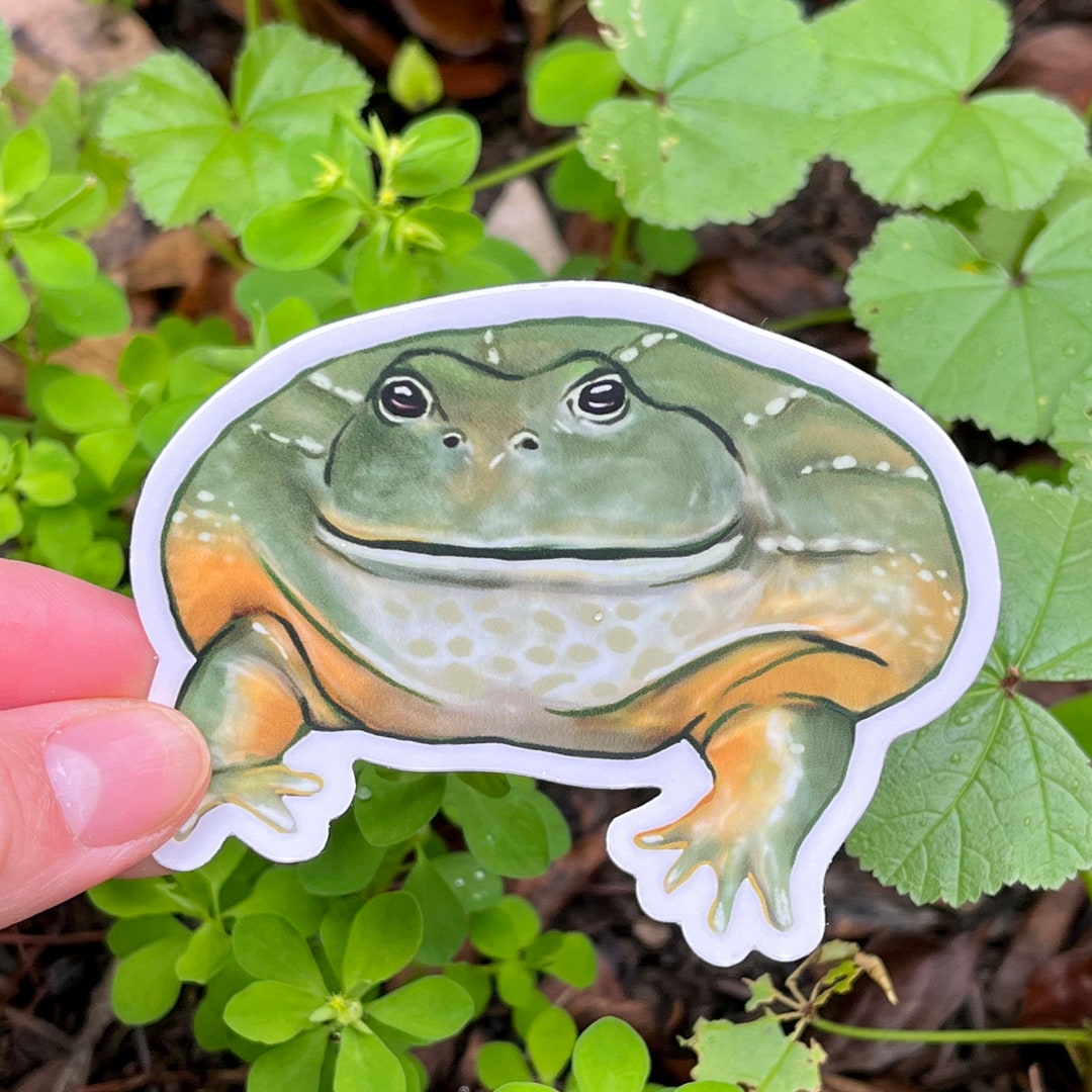 Vinyl Sticker of Chonky African Bullfrog | Cute Wholesome Fat Pet Frog ...