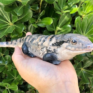 May include: A ceramic blue-tongued lizard figurine with a detailed, textured design. The lizard has a light blue body with black and tan markings. The figurine is held in a hand against a backdrop of green foliage.