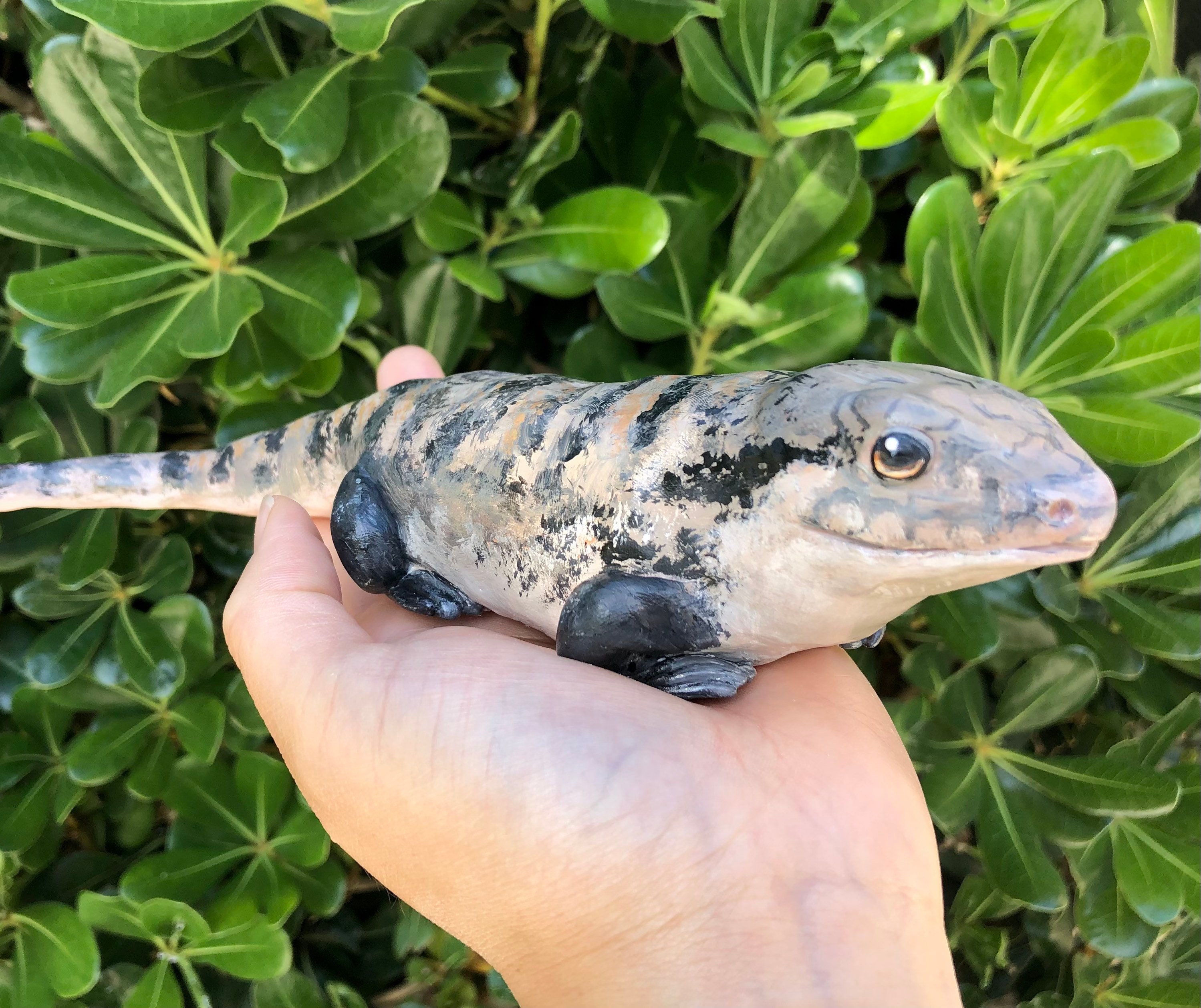 Blue Tongue Skink Cute Artsy Tee Blue Tongue Skink Cute Artsy Tee