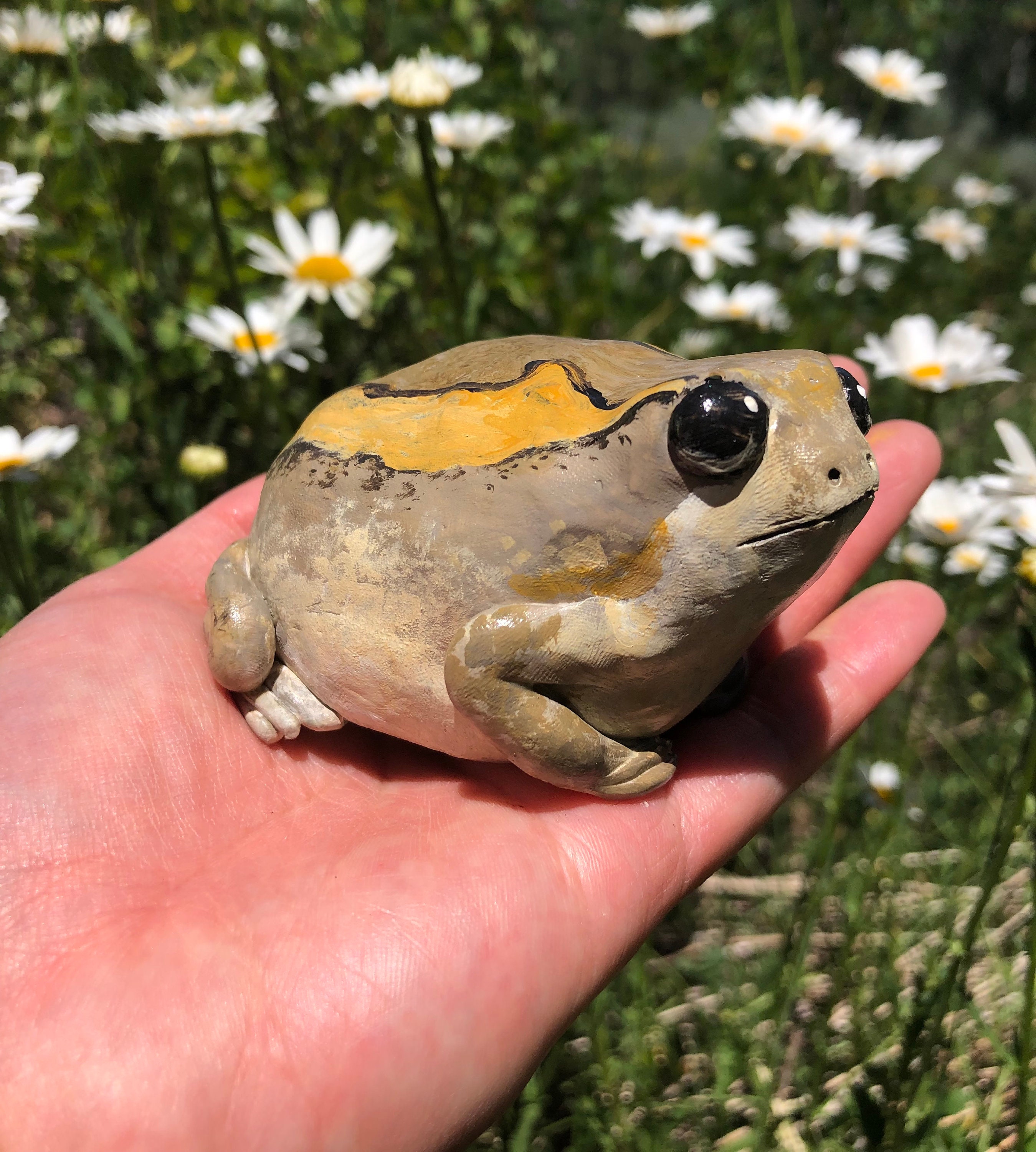 Potato Frog