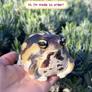 Handmade Mini Desert Rain Frog Figurine: Funny Polymer Clay Sculpture