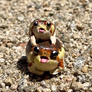 Handmade Polymer Clay Angry Screaming Black Desert Rain Frogs Figurine | Hand-painted Grumpy Fat Thick Frog Friend Statue Sculpture
