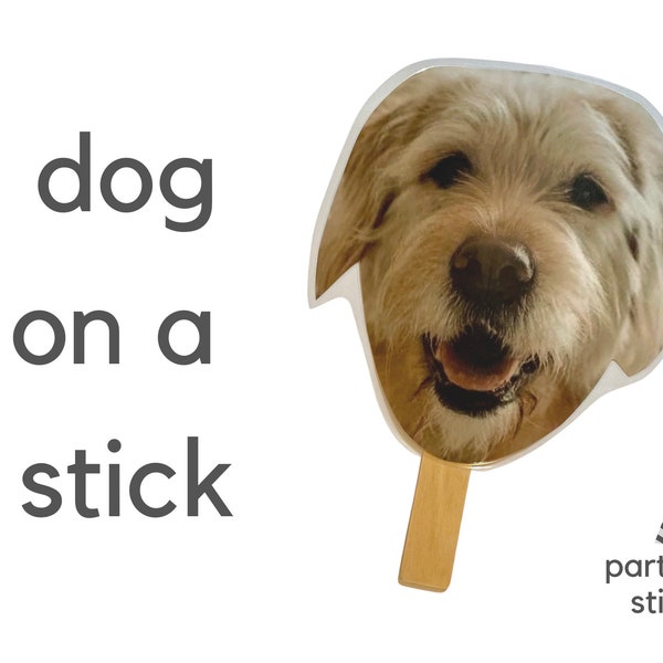 Dog Face on a Stick