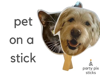 Pet Face on a Stick
