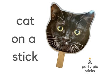 Cara de gato en un palo