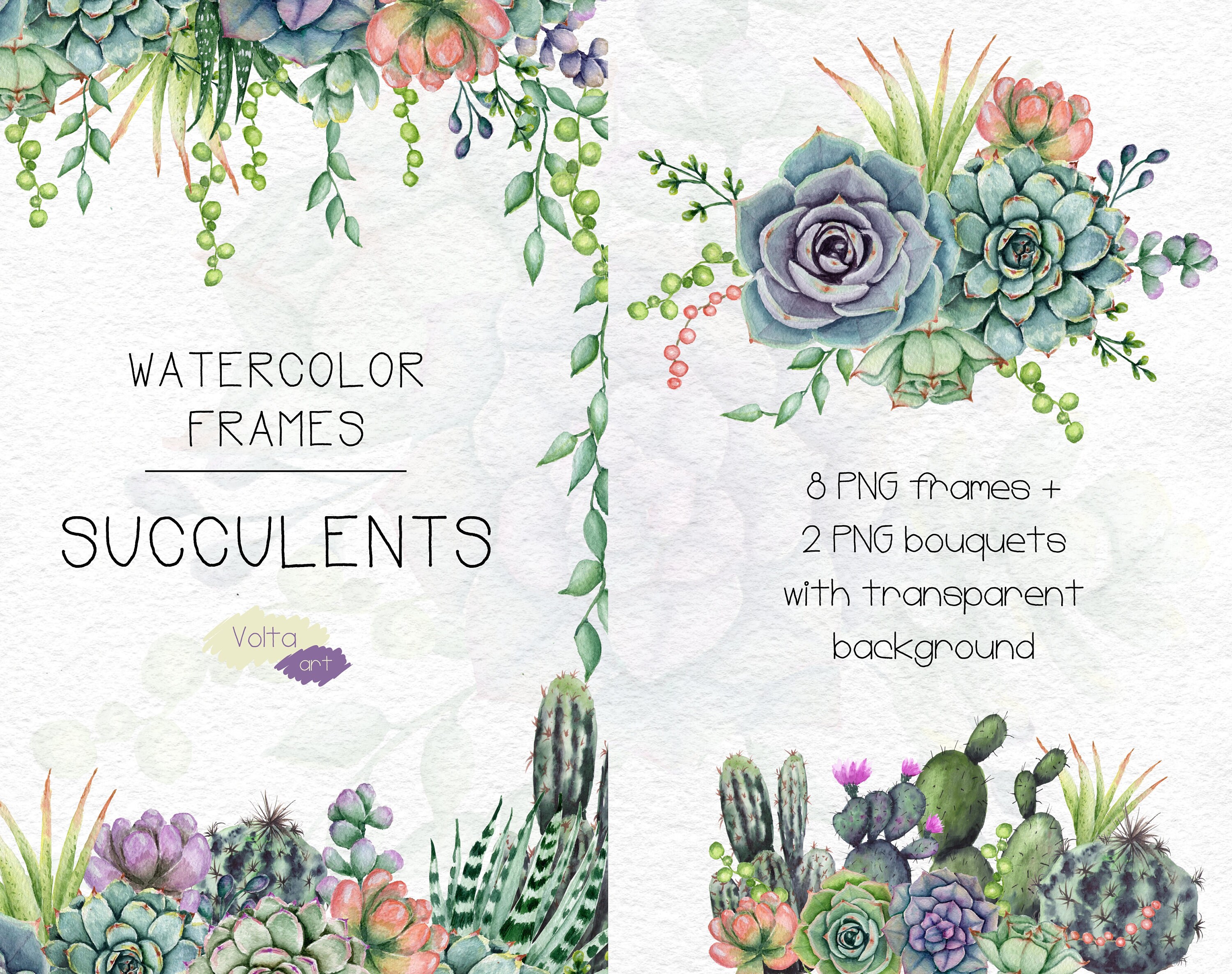 Download Watercolor Succulents Frames And Bouquets Tropical Plants Png Etsy