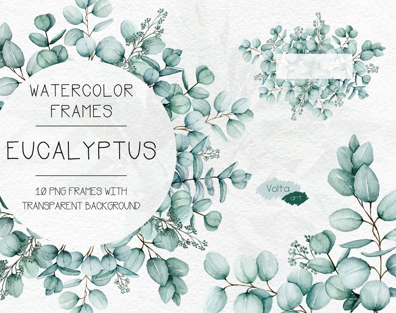 Watercolor Eucalyptus frames Branches Eucalyptus clip art Etsy