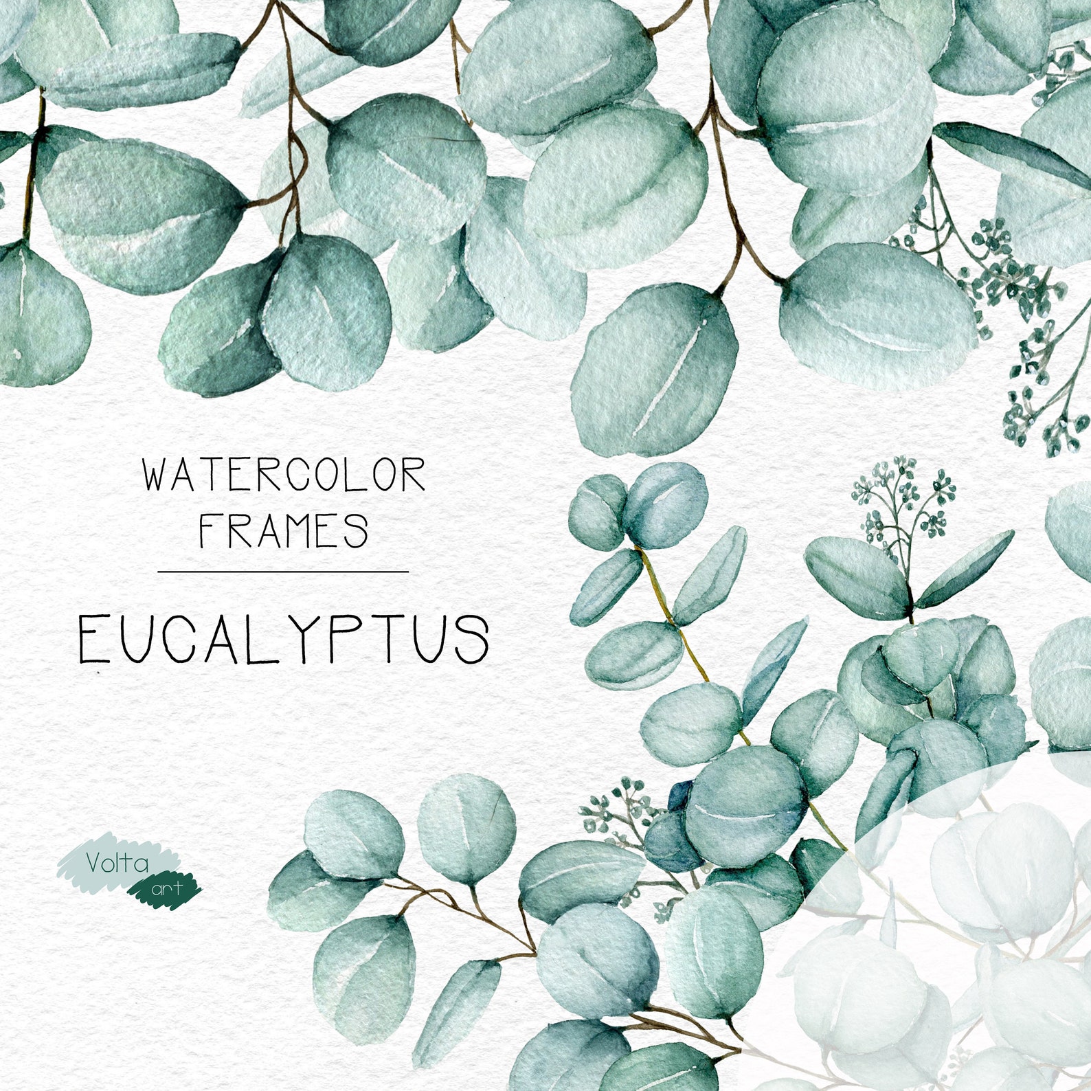 Watercolor Eucalyptus frames Branches Eucalyptus clip art Etsy