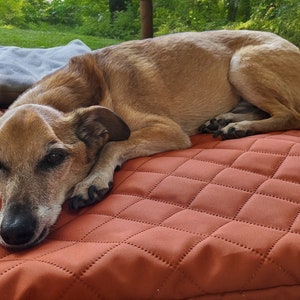 robuste Hundedecke für draußen, Urlaub mit Hund, Reisekram, Hundezubehör Urlaub, Reisedecke Hund, Hundereisedecke, gefütterte Hundedecke, Camping mit Hund, hundefreudlich, Geschenk Urlaub, ein Hund kommt ins Haus, Welpengeschenk, stubenrein, Hund