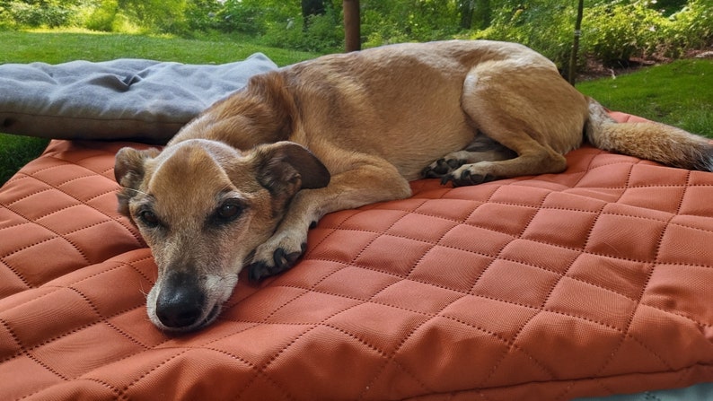 robuste Hundedecke für draußen, Urlaub mit Hund, Reisekram, Hundezubehör Urlaub, Reisedecke Hund, Hundereisedecke, gefütterte Hundedecke, Camping mit Hund, hundefreudlich, Geschenk Urlaub, ein Hund kommt ins Haus, Welpengeschenk, stubenrein, Hund