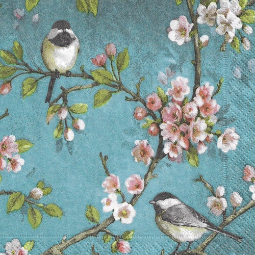 Paper Decoupage Napkins Set of 2 Succulent Love Etsy Canada