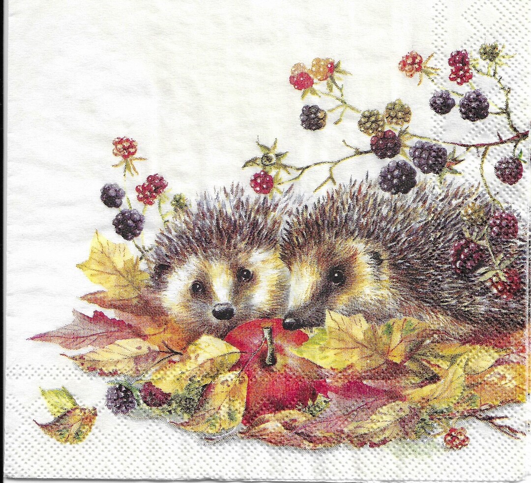 Decoupage Cocktail Napkins Set of Two Etsy Canada