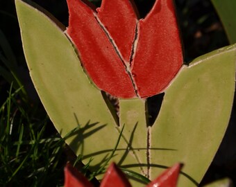 red tulip from tone 3