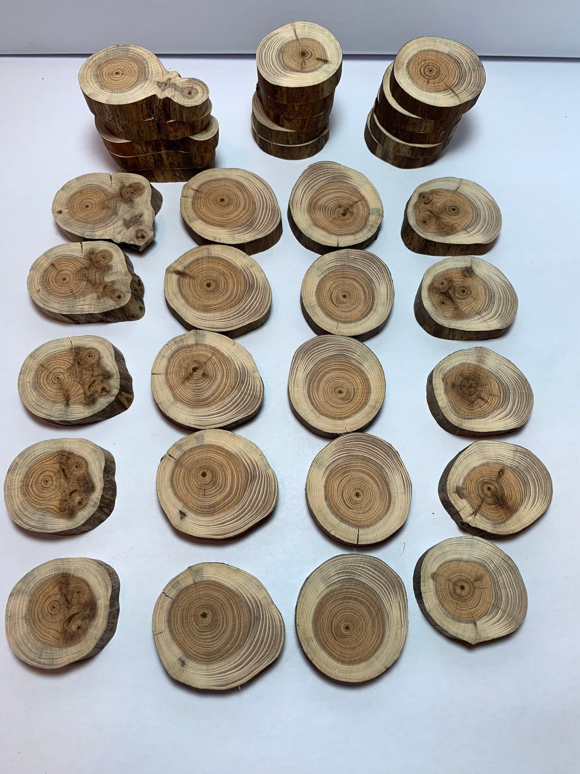 35x Yew Slices Yew Wood 3545 Mm Ground E35/10 Etsy
