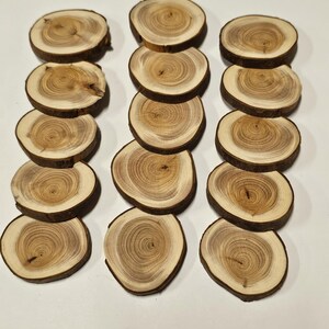 15x Yew branch slices yew wood 35-45 mm sanded (E15/8/5)