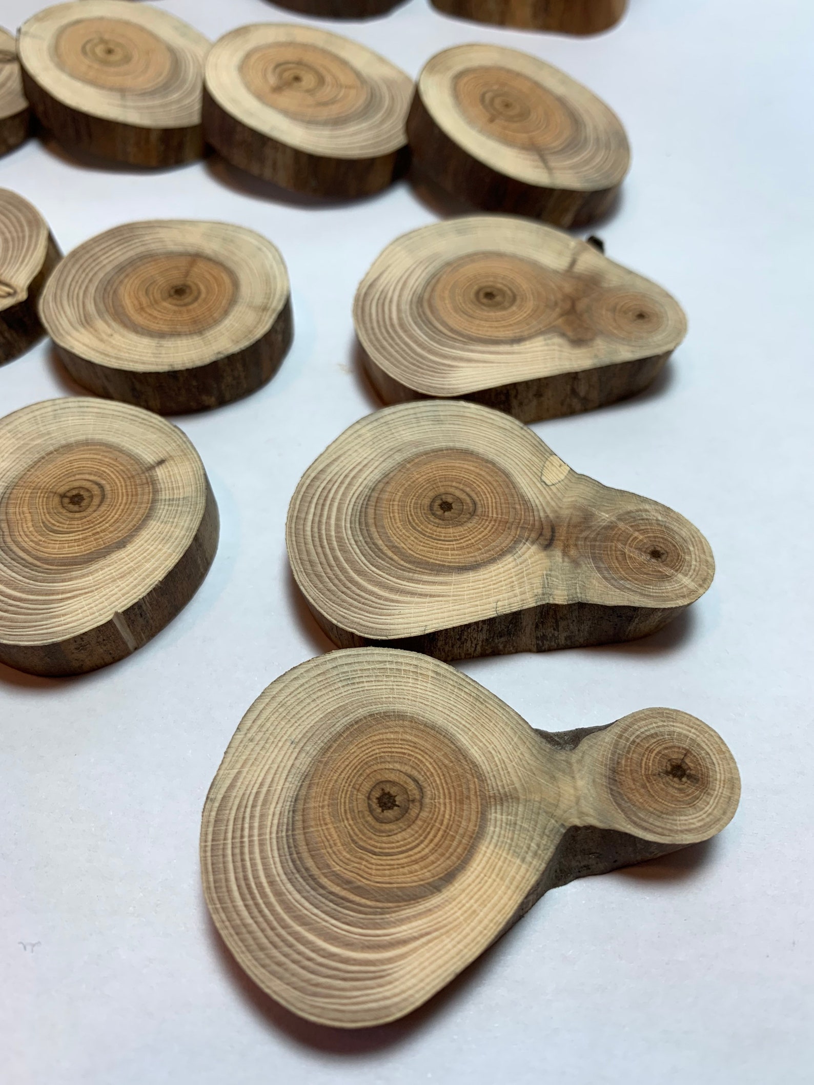 35x Yew Slices Yew Wood 3545 Mm Ground E35/10 Etsy