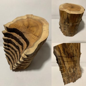 May include: A wooden sculpture made from stacked slices of a tree trunk. The wood is a light brown color with darker brown rings. The sculpture is about 10 inches tall and 6 inches wide.