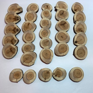 May include: A set of 25 wood slices, each with a unique grain pattern and a natural brown color. The slices are arranged in five rows of five, with each row slightly offset from the one below it.