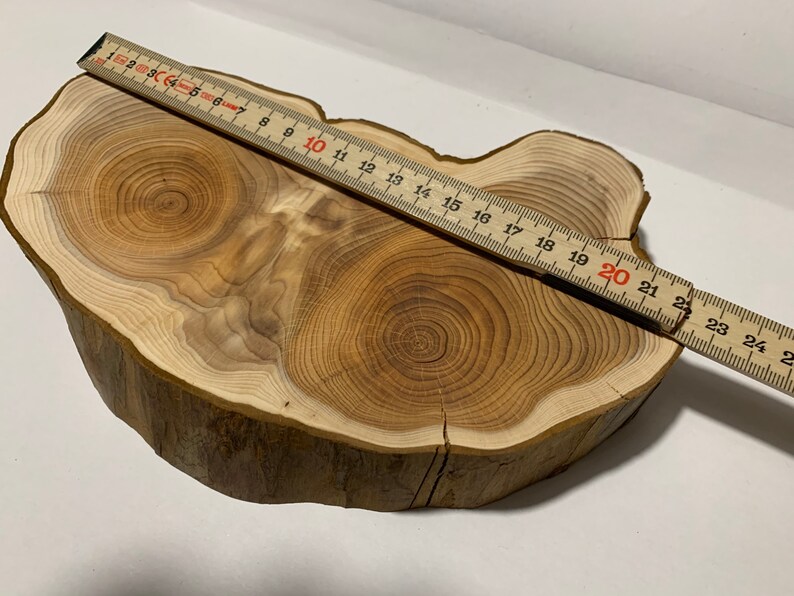 Yew Tree Disc Yew Wood With Face Dry and Sanded Etsy