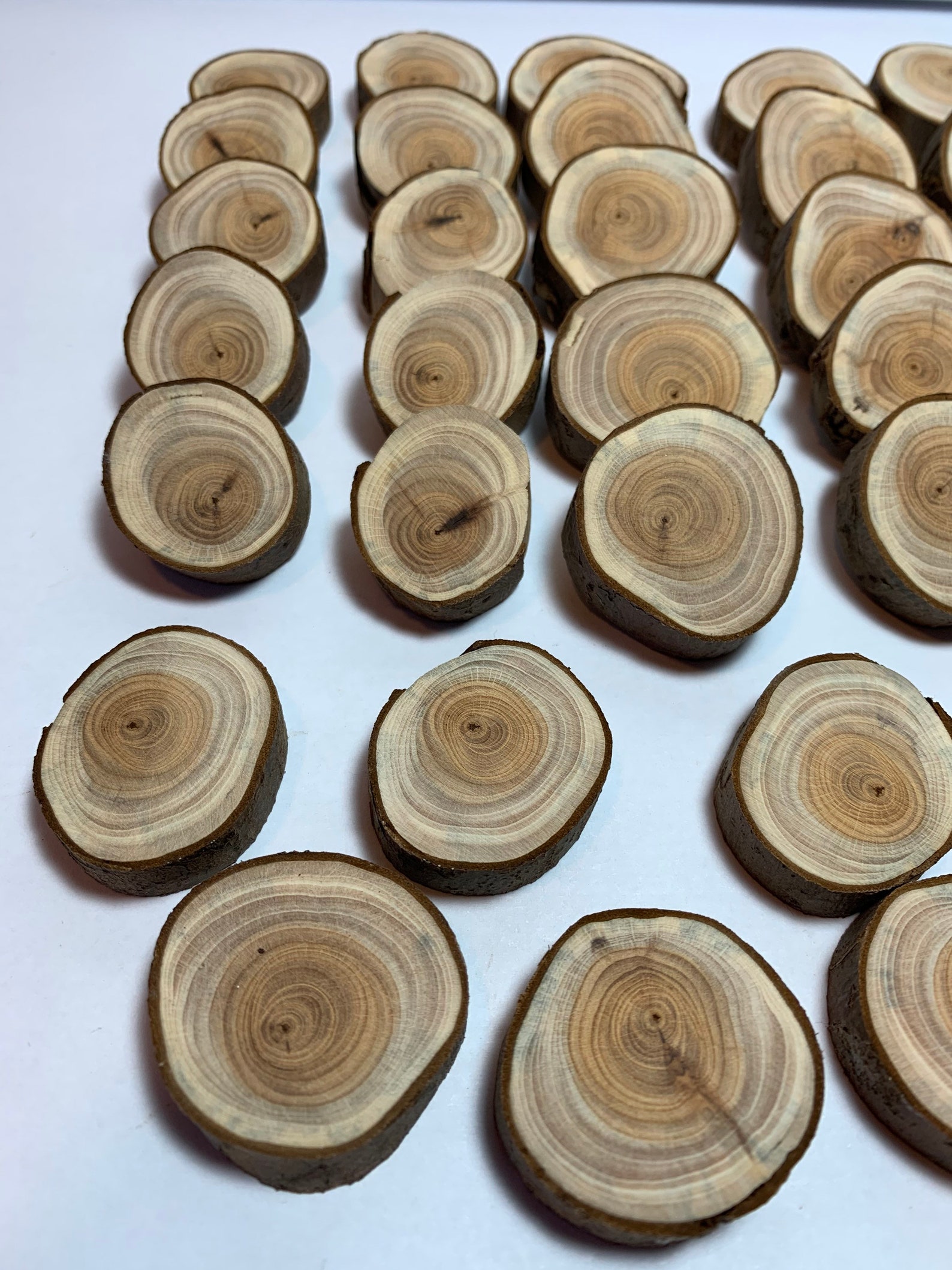 39x Yew Slices Yew Wood 2535 Mm Ground E39/10 Etsy