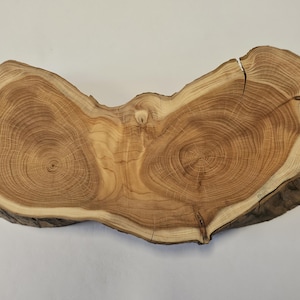 Large yew disc branch disc yew wood finely sanded yew with face No.2