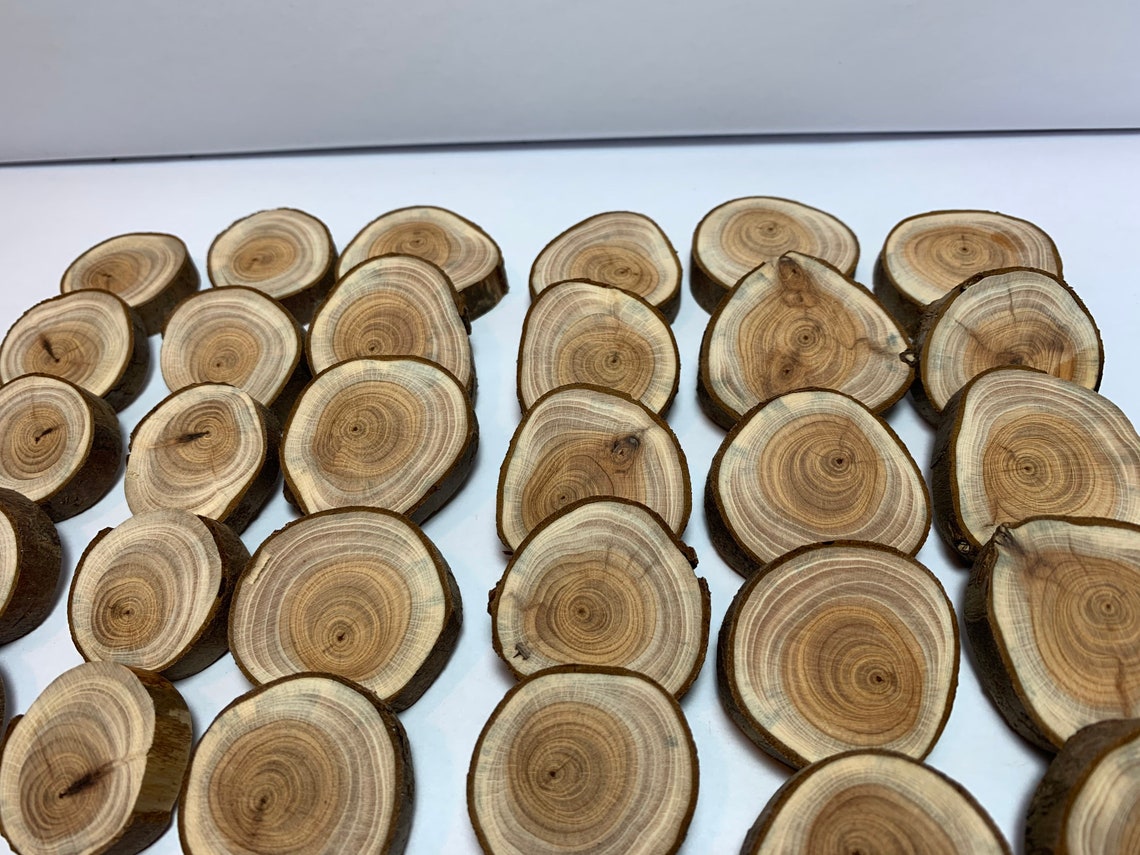 39x Yew Slices Yew Wood 2535 Mm Ground E39/10 Etsy