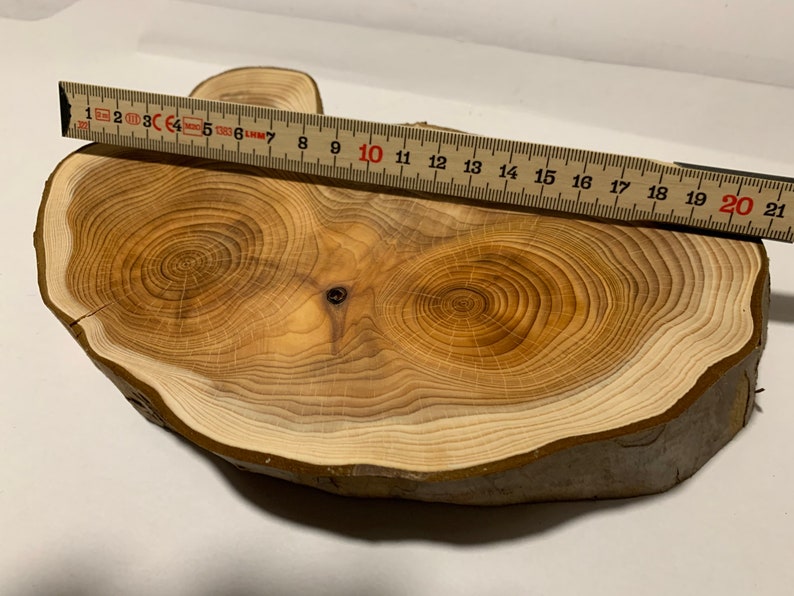 Yew Tree Disc Yew Wood With Face Dry and Sanded Etsy