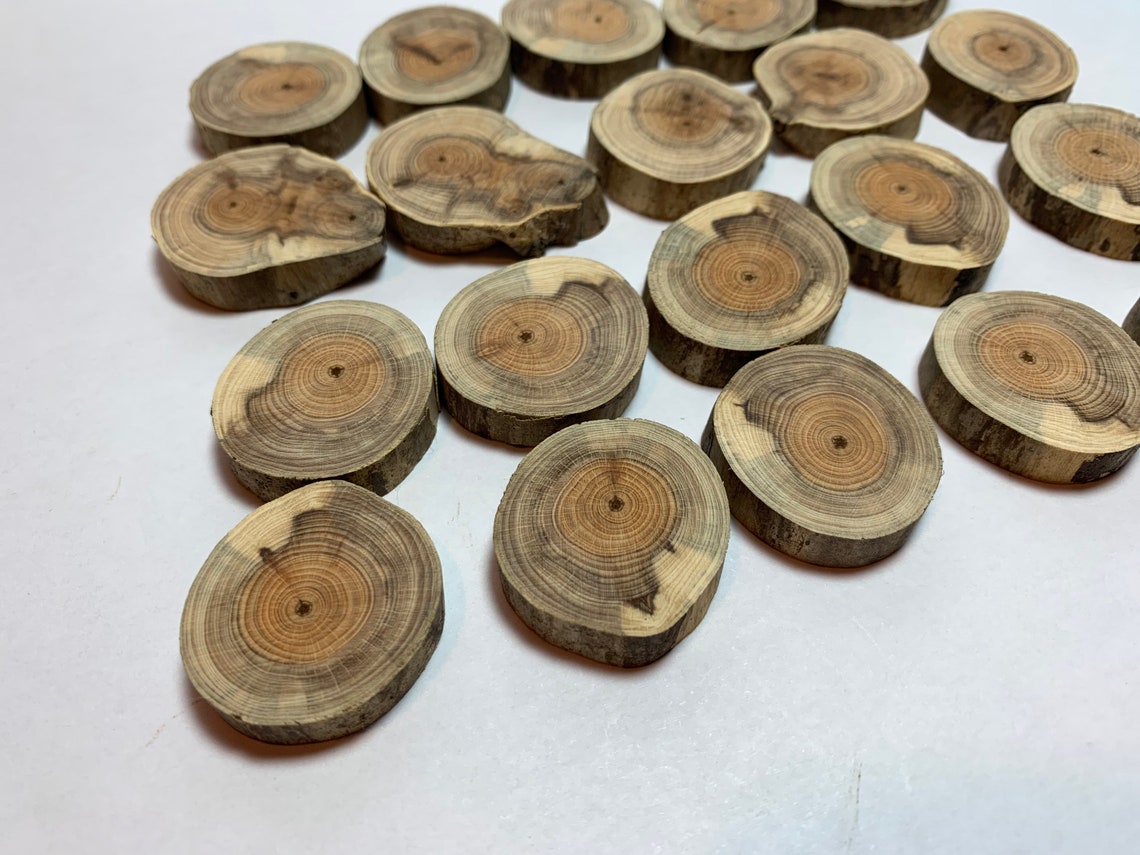 20x Yew Slices Yew Wood 2225 Mm Ground E20/20 Etsy Ireland