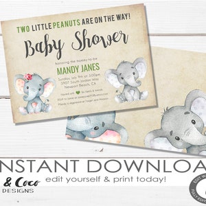 twin boy and girl baby shower invitation instant download, twin Shower Invitation template, Editable, Digital Invitation _c010