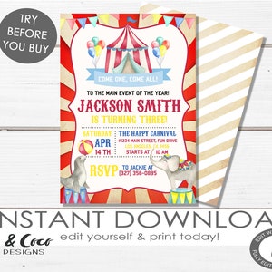 Carnival birthday invitation for boy and girl birthday party, Circus birthday invite, Carnival birthday party invitation ticket _c097