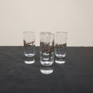 Vintage Stolichnaya Vodka Shot Glass
