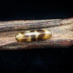Replica Tibetan Double Horse-tooth Agate Dzi Bead - Etsy