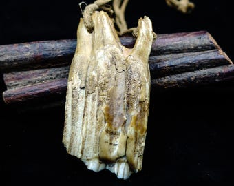 Pendente tibetano del Pleistocene con mandibola fossile.