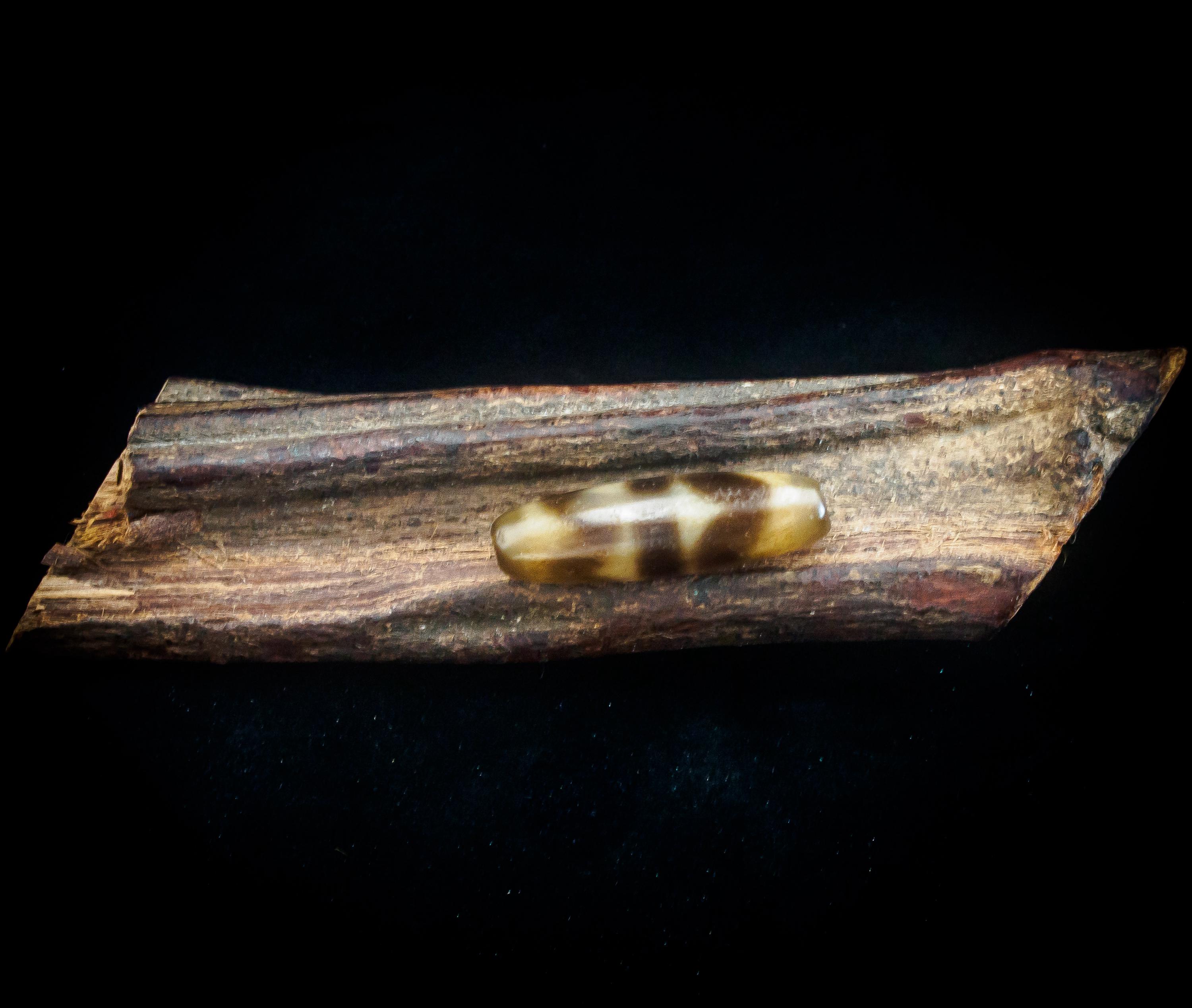 Replica Tibetan Double Horse-tooth Agate Dzi Bead - Etsy