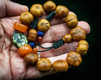 希少な五眼菩提樹の種子、ペマラカカーネリアン、チベット