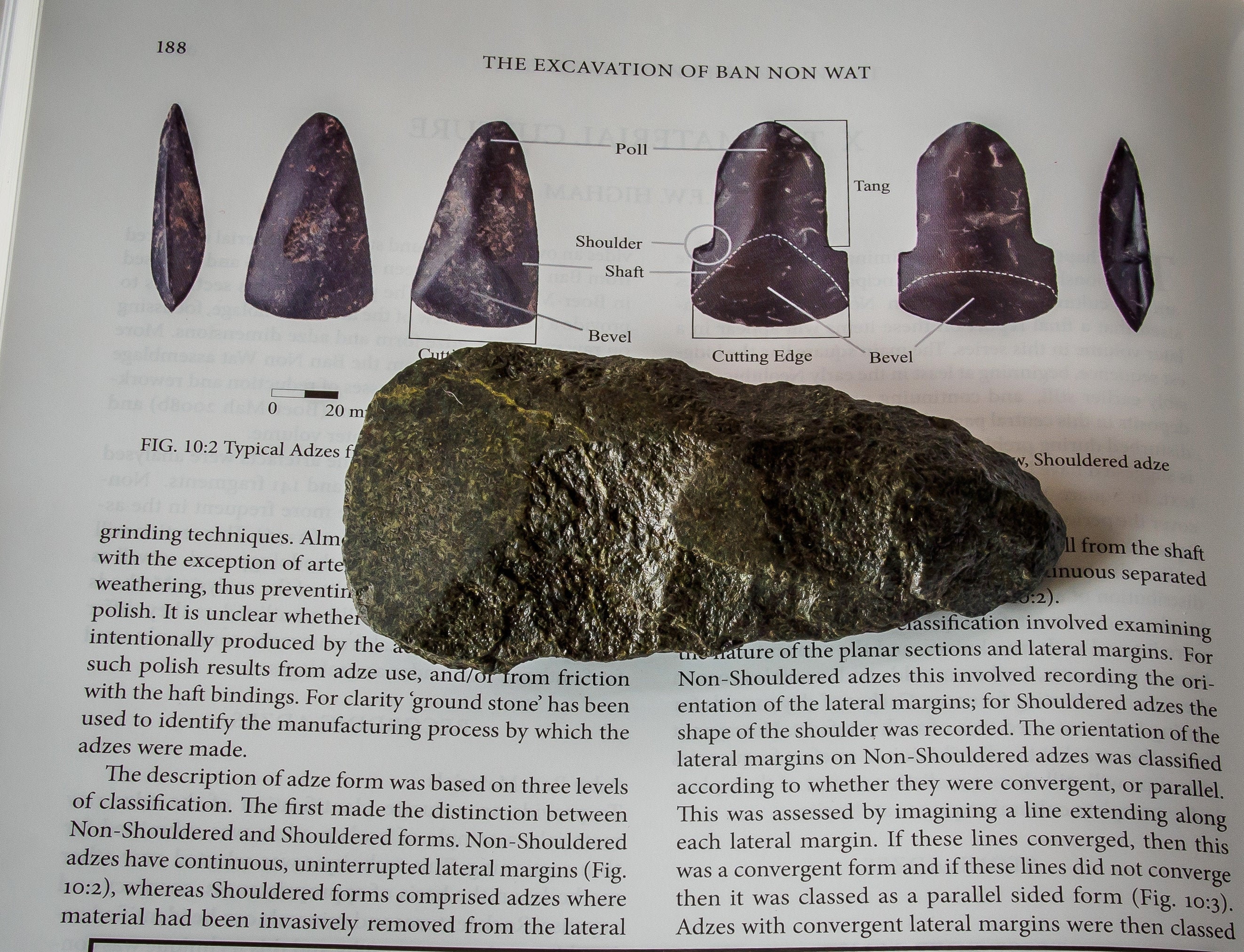 Adze on sale stone tool