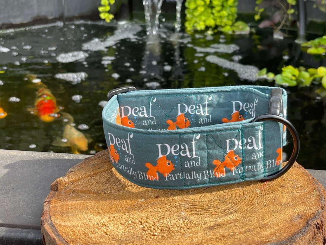 Deaf Dog, Vision Impaired Dog Collar, Special Needs Collar for Great