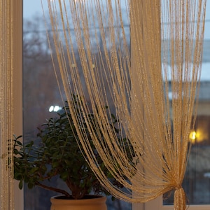 Könnte beinhalten: Eine Topfpflanze mit grünen Blättern steht auf einem Fensterbrett mit einem durchsichtigen, goldfarbenen Vorhang. Der Vorhang besteht aus dünnen Stofffäden und hängt vor einem Fenster mit Blick auf eine verschwommene Stadtlandschaft.