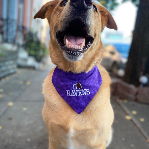 Ravens Dog Over the Collar Bandana | Baltimore Dog