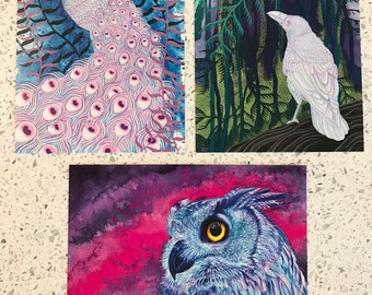 Mystical Bird Trio 5x7" Postcard Pack (3 Prints!)