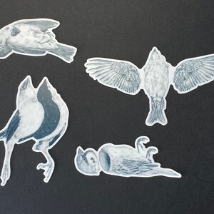 Ensemble d'autocollants d'oiseaux morts, art animalier mort, ensemble d'autocollants minimalistes, autocollants d'art gothique sombre, autocollants en vinyle