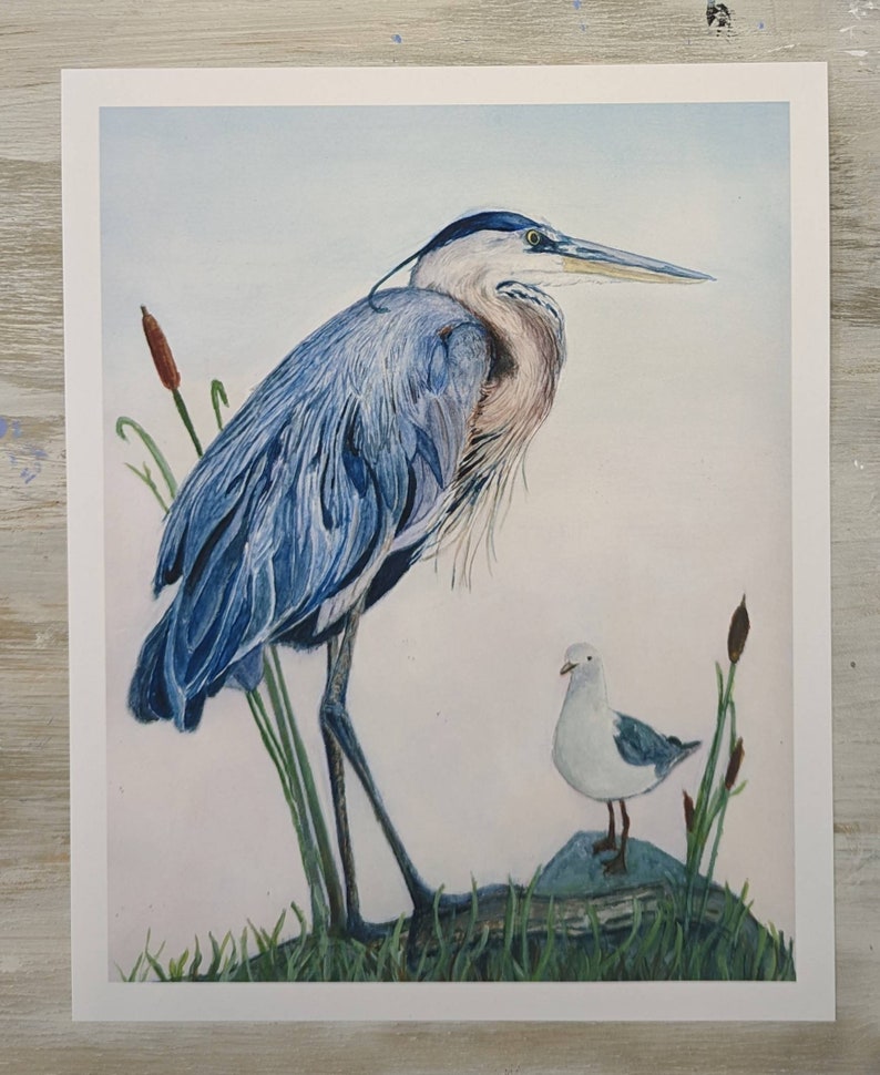 May include: A watercolor painting of a blue heron standing on a rock with a small white seagull perched on the rock beside it. The heron has a long neck and beak, and its feathers are a mix of blue and gray. The seagull has a small, yellow beak and black eyes.