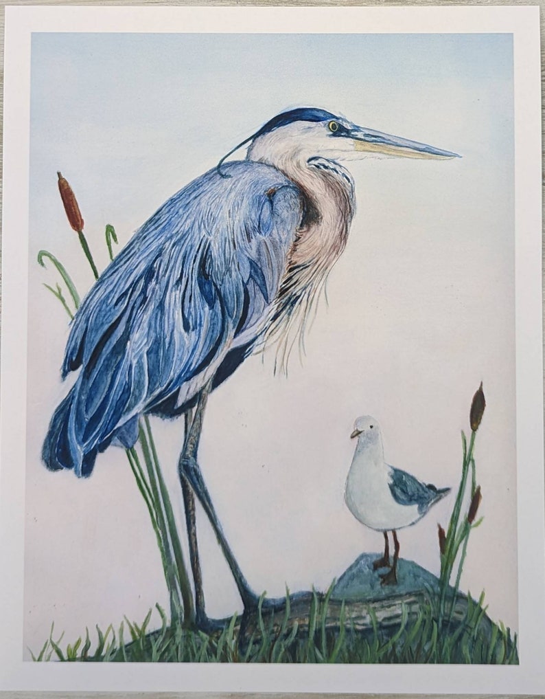 May include: A watercolor painting of a blue heron standing on a rock with a small white seagull beside it. The heron has a long neck and beak, and its feathers are a mix of blue and gray. The seagull is perched on a rock, looking to the side.